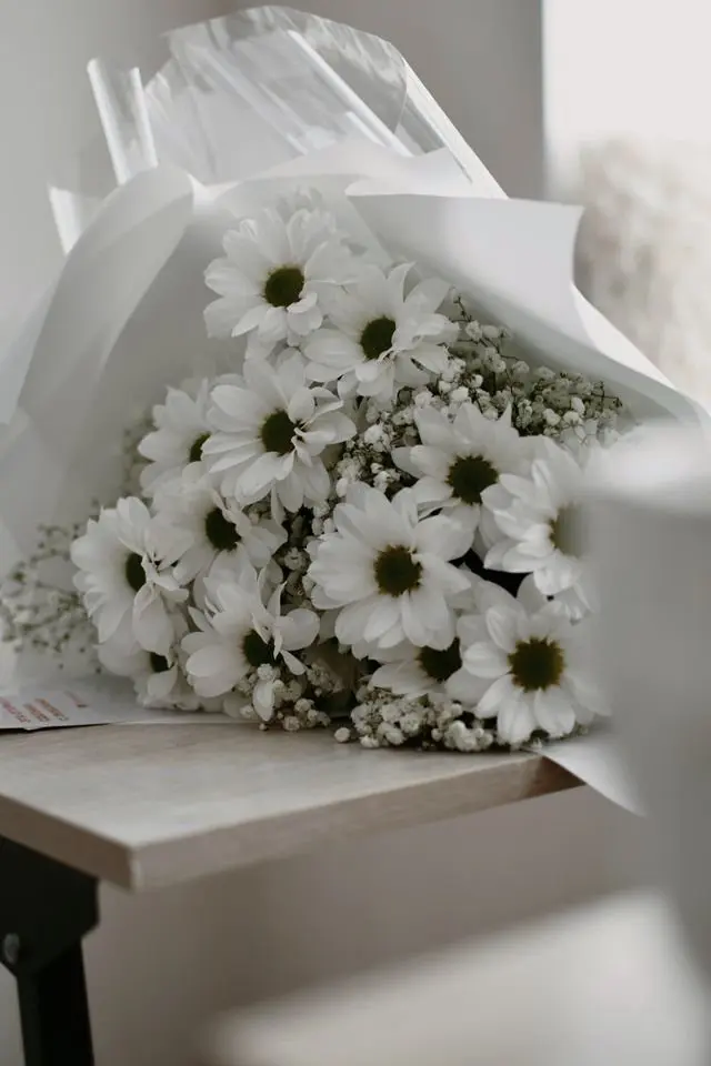 Video: A bouquet of white daisies and baby's breath wrapped in white paper